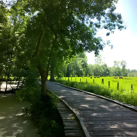 Les Glycines, Marais Poitevin * Magne (Deux-Sevres)