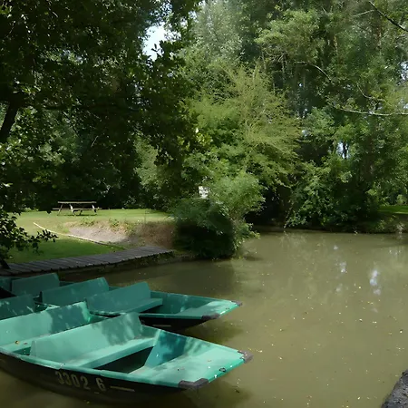 Les Glycines, Marais Poitevin * Magne (Deux-Sevres)