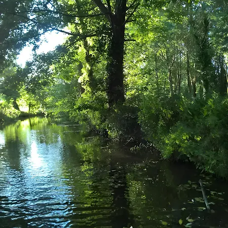 Les Glycines, Marais Poitevin