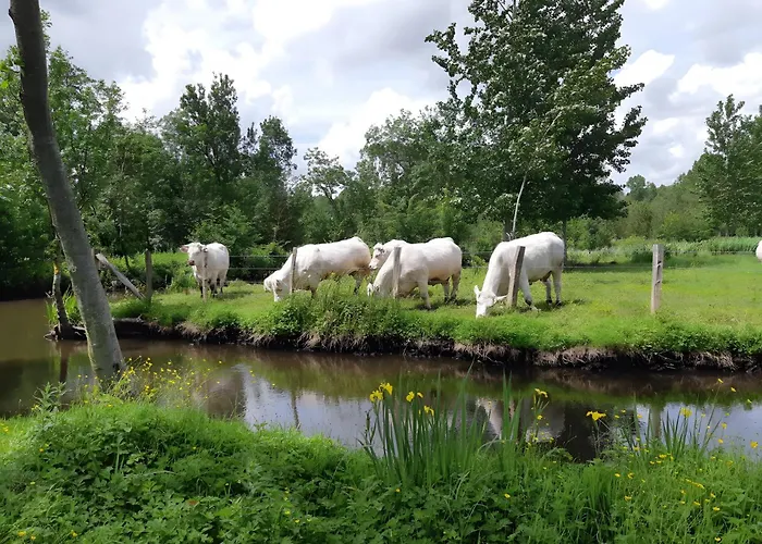 Les Glycines, Marais Poitevin 度假居 *