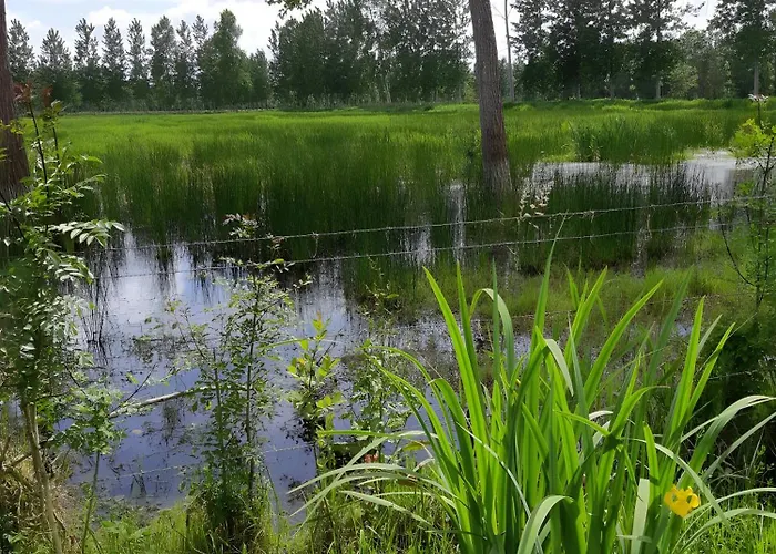 度假居 Les Glycines, Marais Poitevin