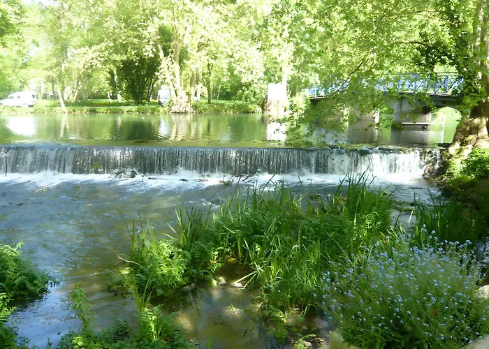 Les Glycines, Marais Poitevin * Magne (Deux-Sevres)