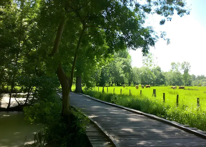 Les Glycines, Marais Poitevin * Magne (Deux-Sevres)