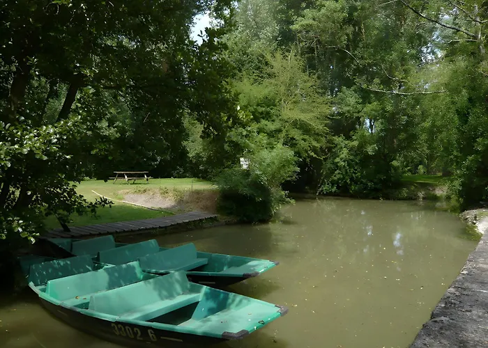 Les Glycines, Marais Poitevin * Magne (Deux-Sevres)