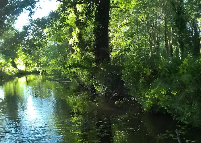Les Glycines, Marais Poitevin